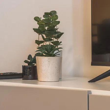 Piazza Goldoni Mazzini *free Wifi* * Trieste