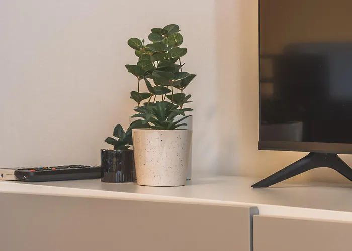 Piazza Goldoni Mazzini *free Wifi* * Triëst